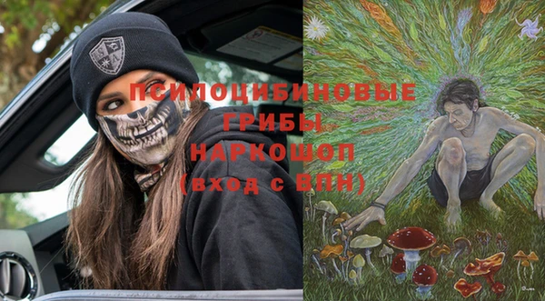 гашик Армянск