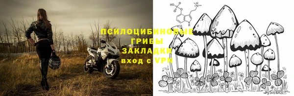меф Алексин