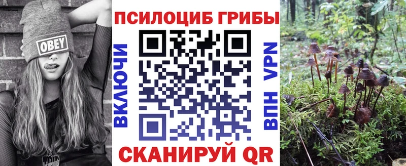 Галлюциногенные грибы MAGIC MUSHROOMS нарко площадка наркотические препараты блэк спрут ссылки Рыбинск даркнет сайт