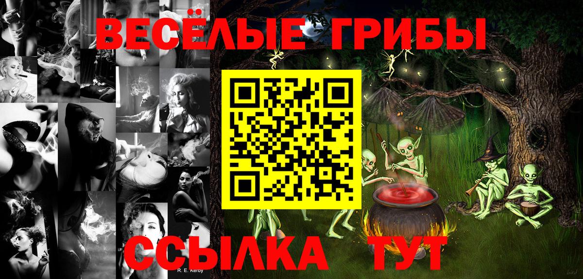 Галлюциногенные грибы MAGIC MUSHROOMS  Вход с VPN  Рыбинск 